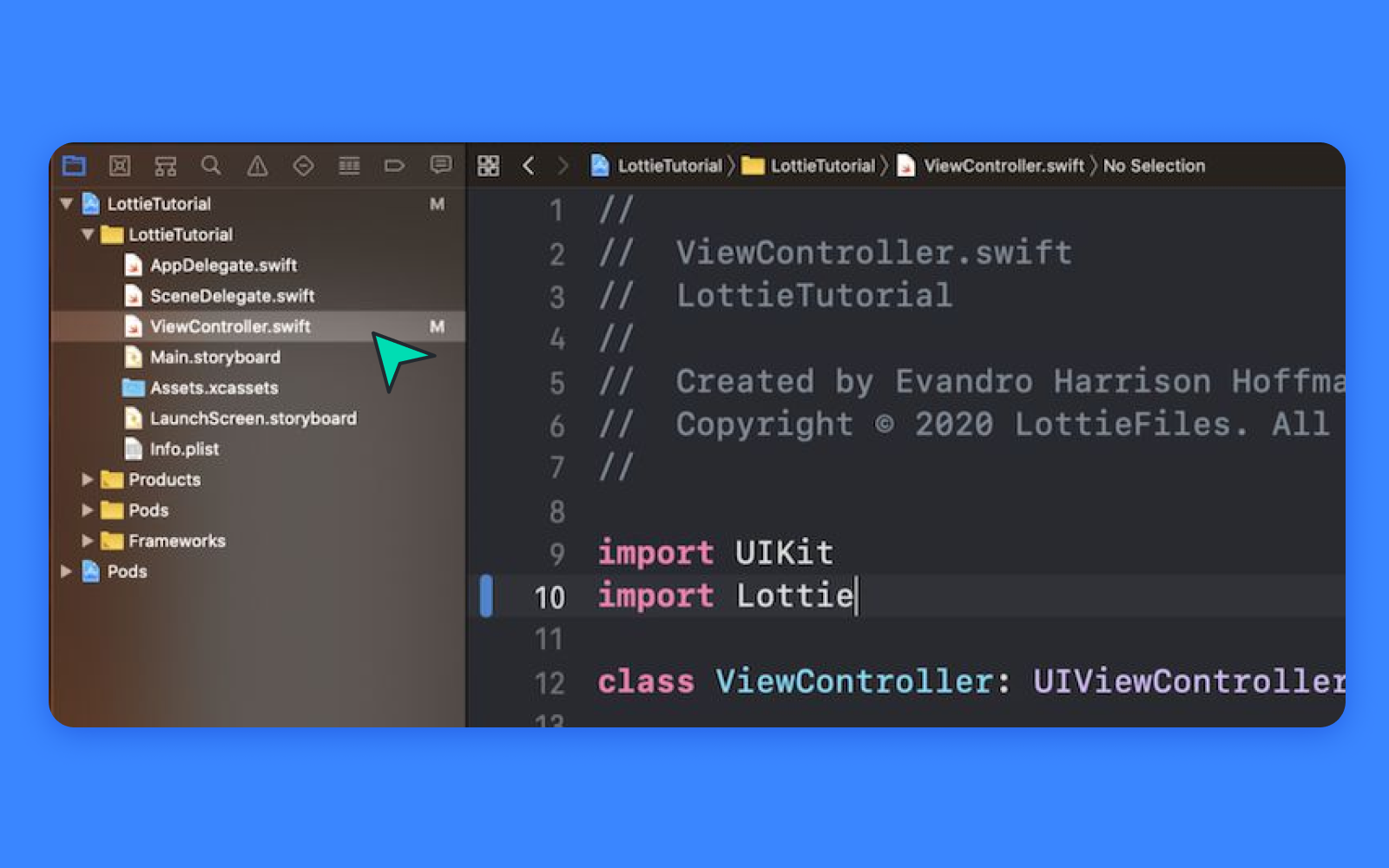 Navigate to ViewController.swift and import Lottie